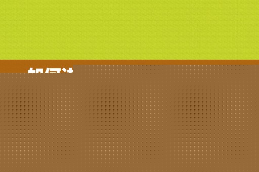 如何边学习边做好SEO优化技术？seo优化要学多久
