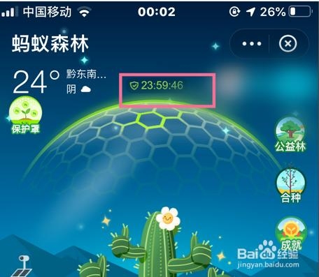 保护罩为什么会过期？蚂蚁森林保护罩管多久