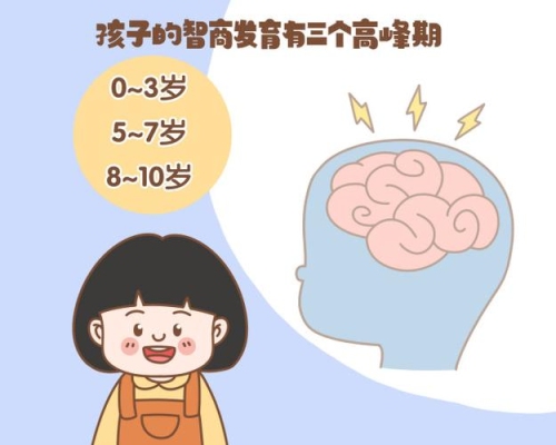 青春期到底能否提高智力，都说青春期是智力发展的黄金时期，但又说年？大脑多久变聪明