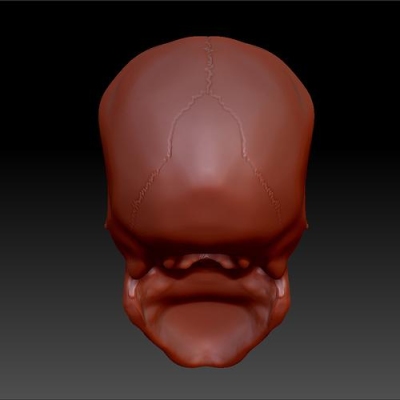zbrush骷髅头建模步骤？zb做一个模型要多久