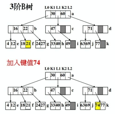 kgb树形几年结果？学b  树要多久