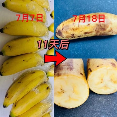香蕉保存久的方法有哪些？（香蕉怎么保存时间长）