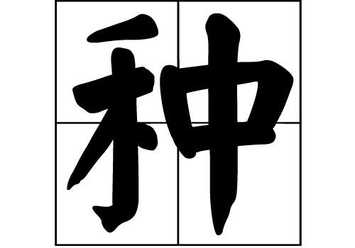 种字做姓氏读音？（种姓怎么读）