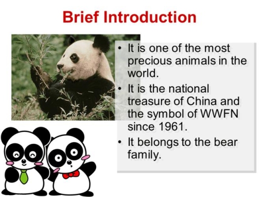 熊猫用英语怎么说？（leopard怎么读）