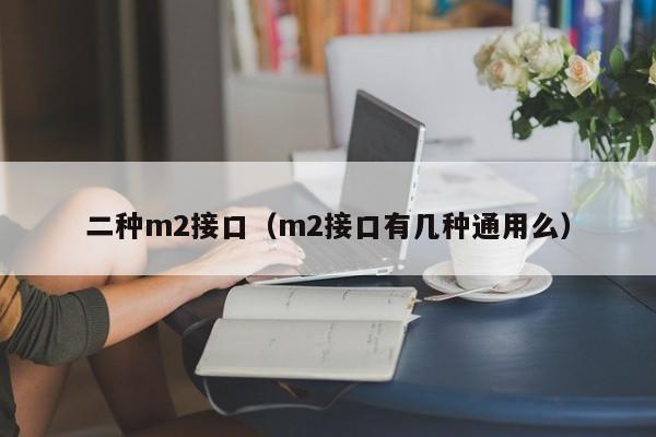 二种m2接口（m2接口有几种通用么）