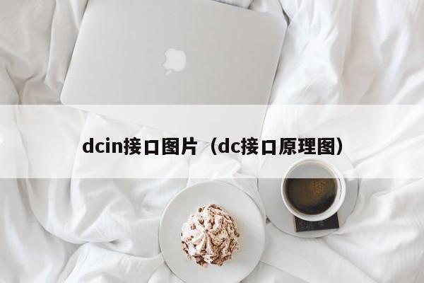 dcin接口图片（dc接口原理图）
