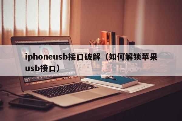 iphoneusb接口破解（如何解锁苹果usb接口）
