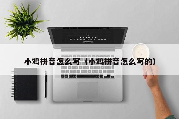 小鸡拼音怎么写（小鸡拼音怎么写的）