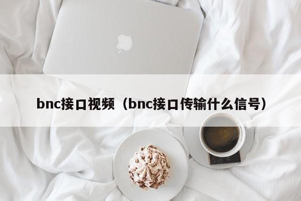 bnc接口视频（bnc接口传输什么信号）