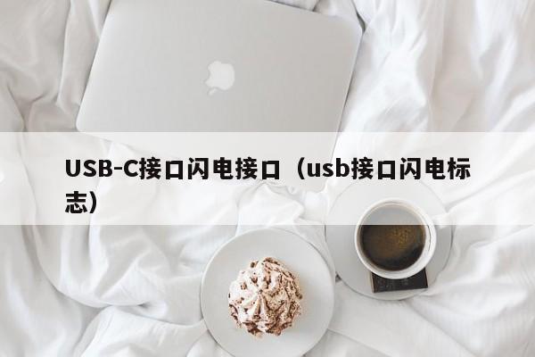 USB-C接口闪电接口（usb接口闪电标志）
