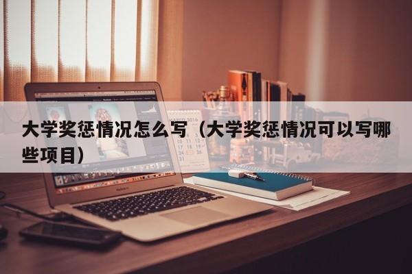 大学奖惩情况怎么写（大学奖惩情况可以写哪些项目）