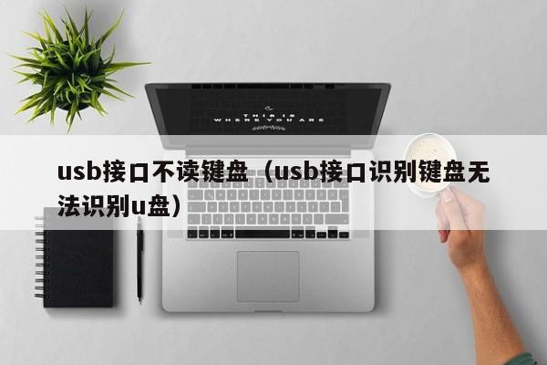 usb接口不读键盘（usb接口识别键盘无法识别u盘）