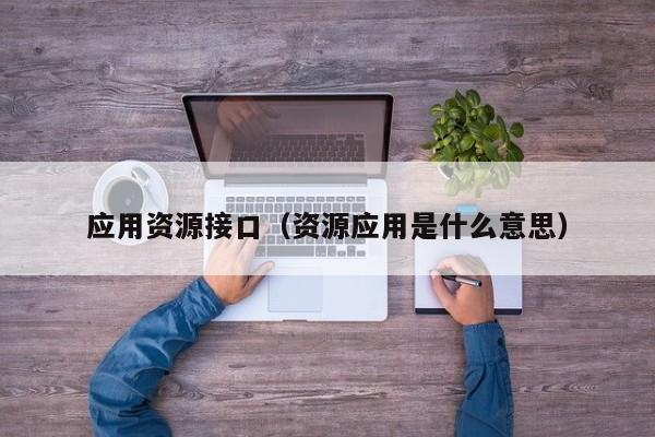 应用资源接口（资源应用是什么意思）