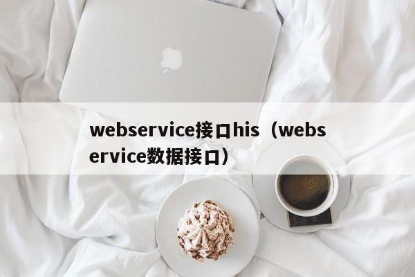 webservice接口his（webservice数据接口）