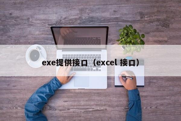 exe提供接口（excel 接口）