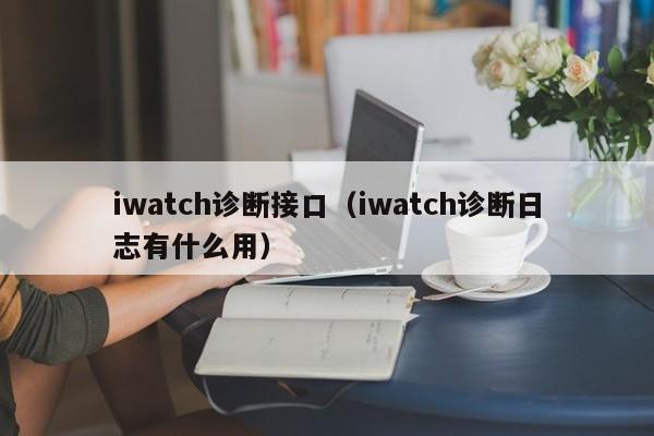 iwatch诊断接口（iwatch诊断日志有什么用）