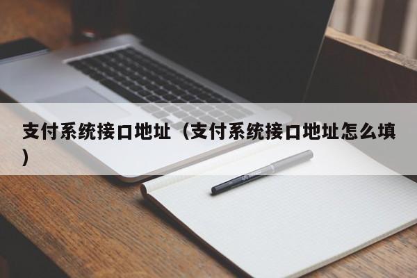 支付系统接口地址（支付系统接口地址怎么填）